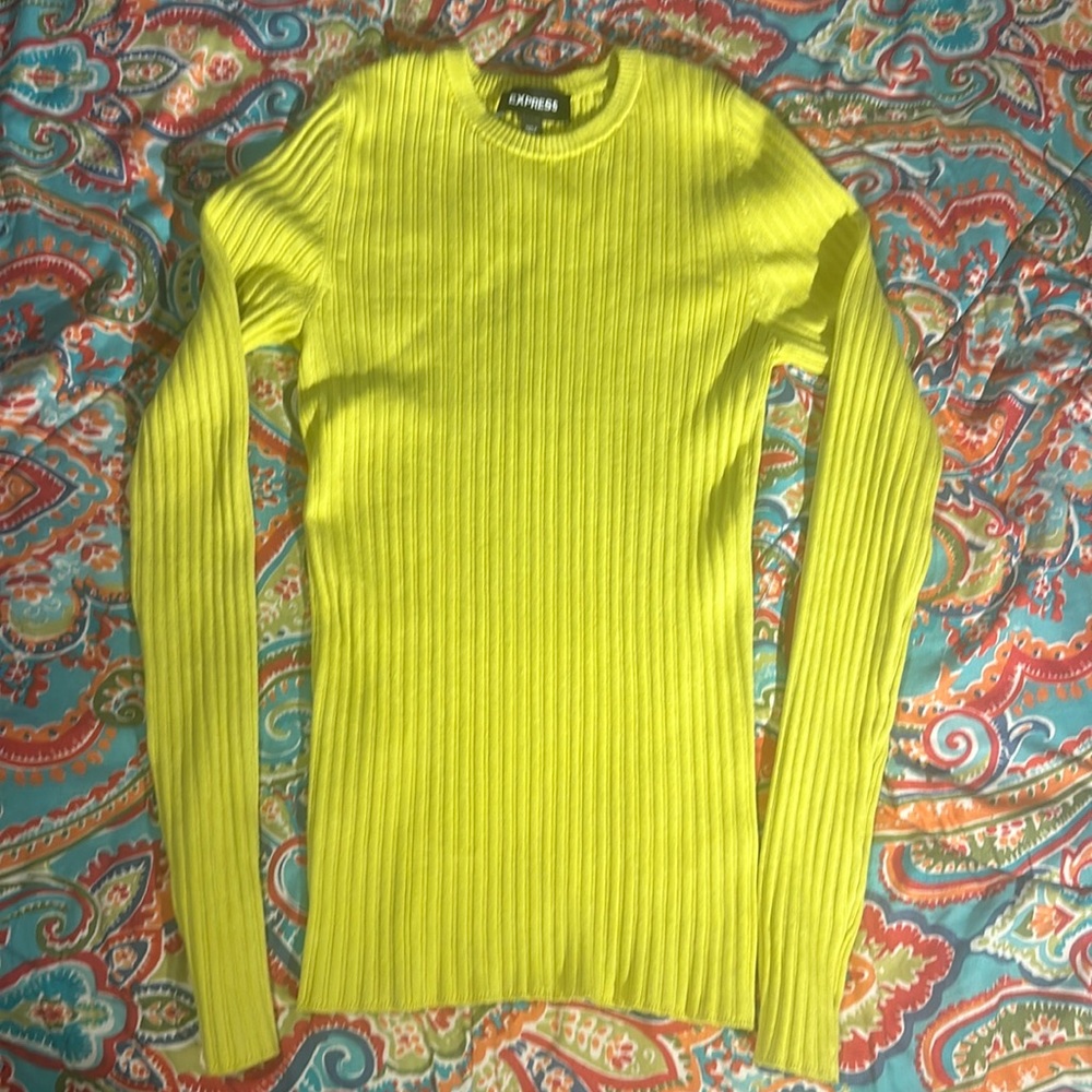 Express Fitted Crewneck Sweater
